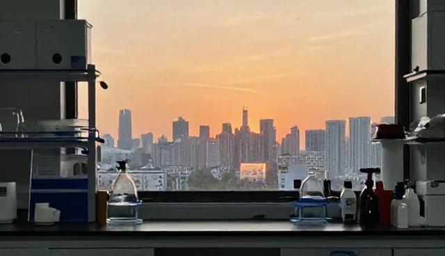 技术培训中的常见误区及管理软件选型建议